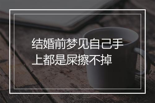 结婚前梦见自己手上都是屎擦不掉