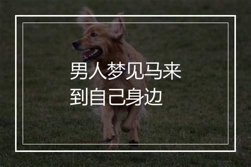 男人梦见马来到自己身边