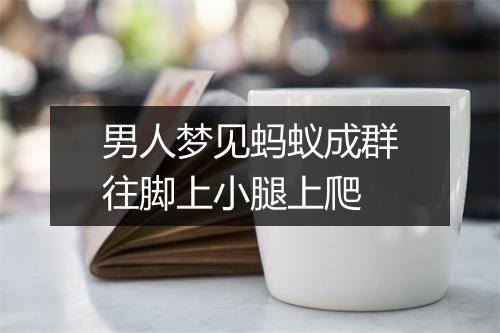 男人梦见蚂蚁成群往脚上小腿上爬