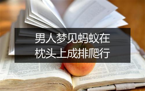 男人梦见蚂蚁在枕头上成排爬行