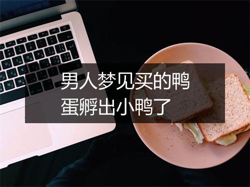 男人梦见买的鸭蛋孵出小鸭了