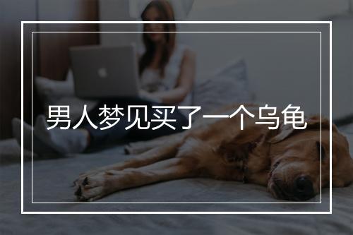 男人梦见买了一个乌龟