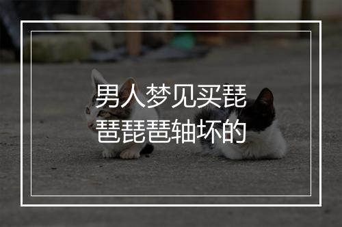 男人梦见买琵琶琵琶轴坏的