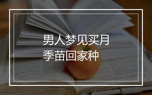 男人梦见买月季苗回家种