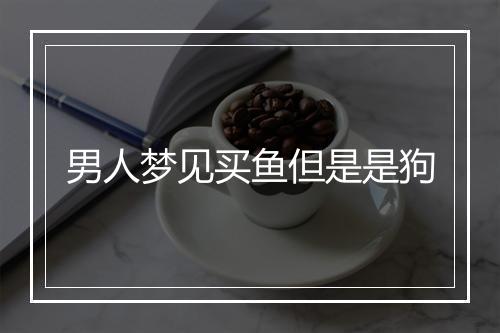 男人梦见买鱼但是是狗