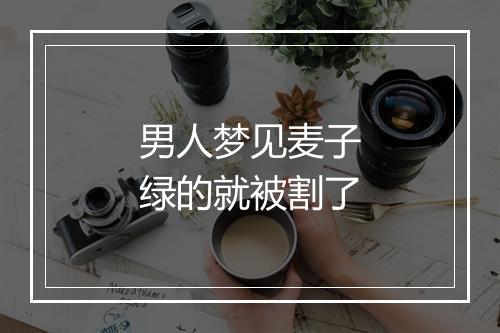 男人梦见麦子绿的就被割了