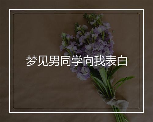 梦见男同学向我表白