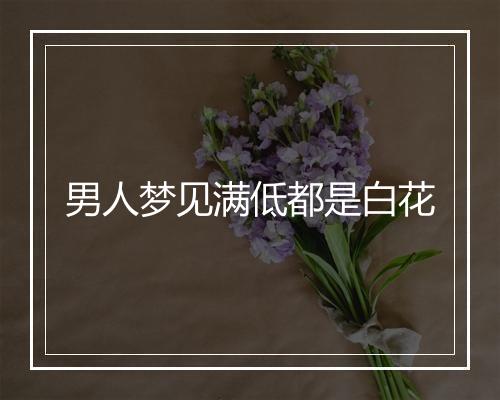 男人梦见满低都是白花