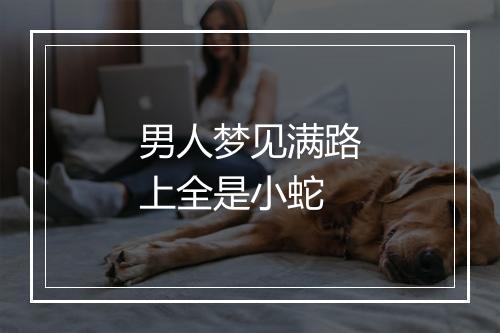 男人梦见满路上全是小蛇