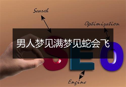 男人梦见满梦见蛇会飞