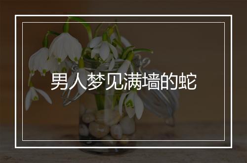 男人梦见满墙的蛇