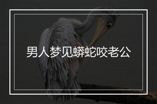 男人梦见蟒蛇咬老公