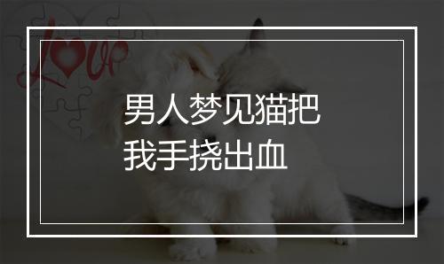 男人梦见猫把我手挠出血