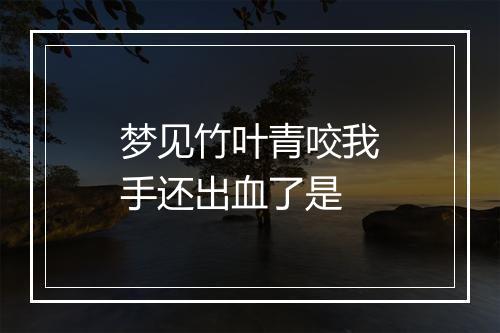 梦见竹叶青咬我手还出血了是