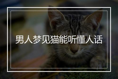 男人梦见猫能听懂人话