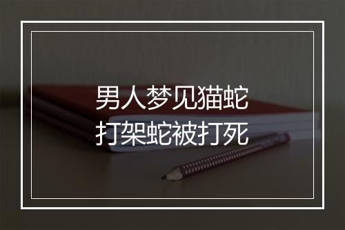 男人梦见猫蛇打架蛇被打死