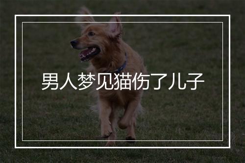 男人梦见猫伤了儿子