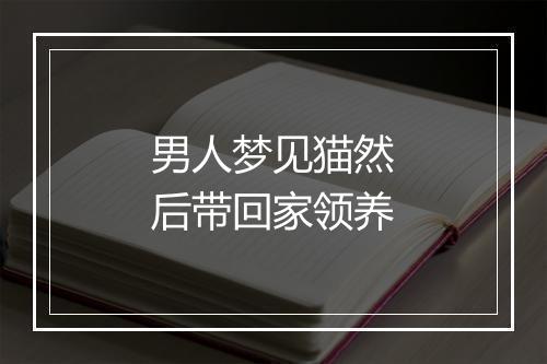 男人梦见猫然后带回家领养