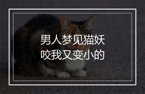 男人梦见猫妖咬我又变小的