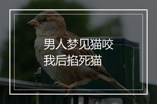 男人梦见猫咬我后掐死猫