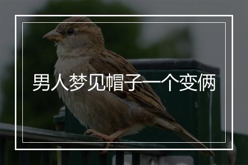 男人梦见帽子一个变俩