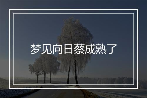 梦见向日蔡成熟了