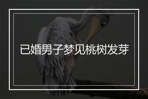 已婚男子梦见桃树发芽