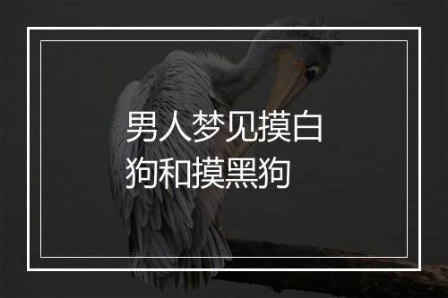 男人梦见摸白狗和摸黑狗