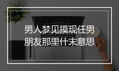 男人梦见摸现任男朋友那里什末意思