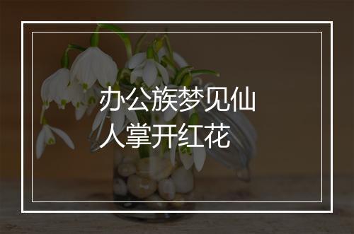 办公族梦见仙人掌开红花