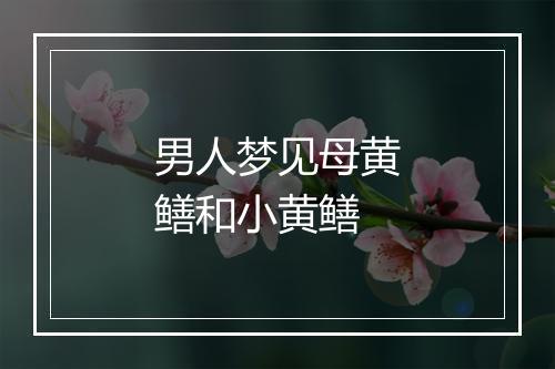 男人梦见母黄鳝和小黄鳝