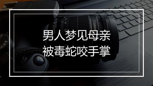 男人梦见母亲被毒蛇咬手掌