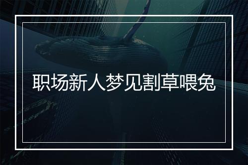 职场新人梦见割草喂兔