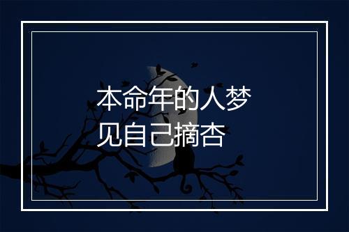 本命年的人梦见自己摘杏