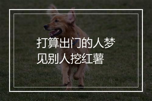 打算出门的人梦见别人挖红薯