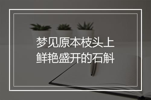 梦见原本枝头上鲜艳盛开的石斛