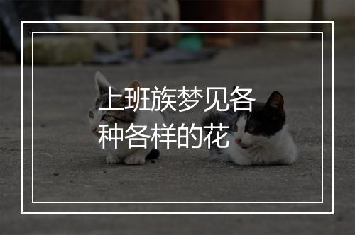 上班族梦见各种各样的花