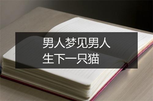 男人梦见男人生下一只猫