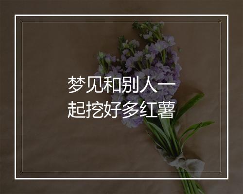 梦见和别人一起挖好多红薯