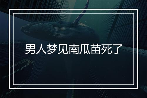 男人梦见南瓜苗死了