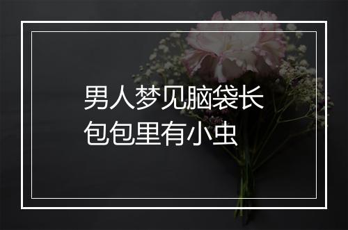 男人梦见脑袋长包包里有小虫