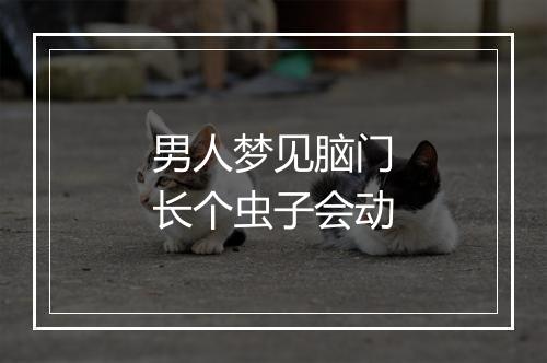 男人梦见脑门长个虫子会动