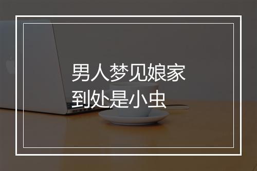 男人梦见娘家到处是小虫