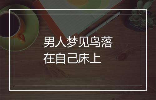 男人梦见鸟落在自己床上