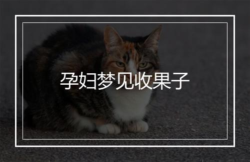 孕妇梦见收果子