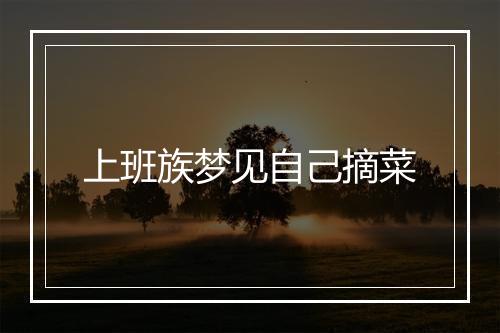 上班族梦见自己摘菜