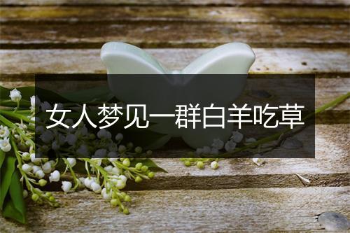 女人梦见一群白羊吃草