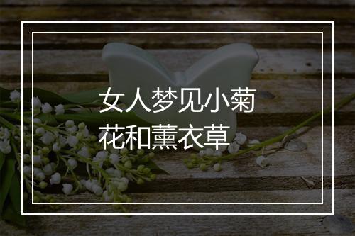 女人梦见小菊花和薰衣草