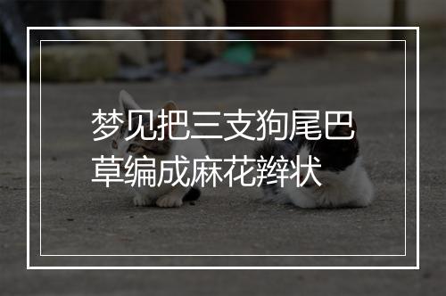 梦见把三支狗尾巴草编成麻花辫状