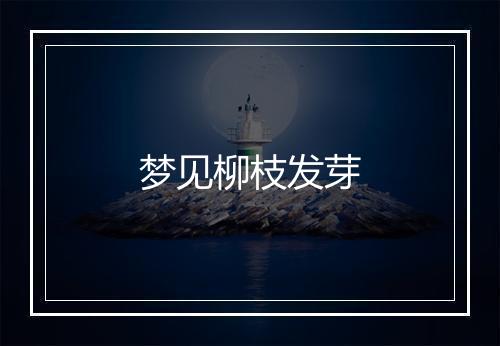 梦见柳枝发芽